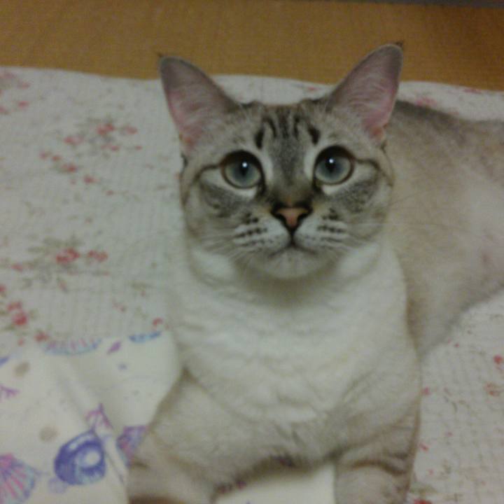 C95954a9 ce47 4fb9 bb9e 13d60d5c03db