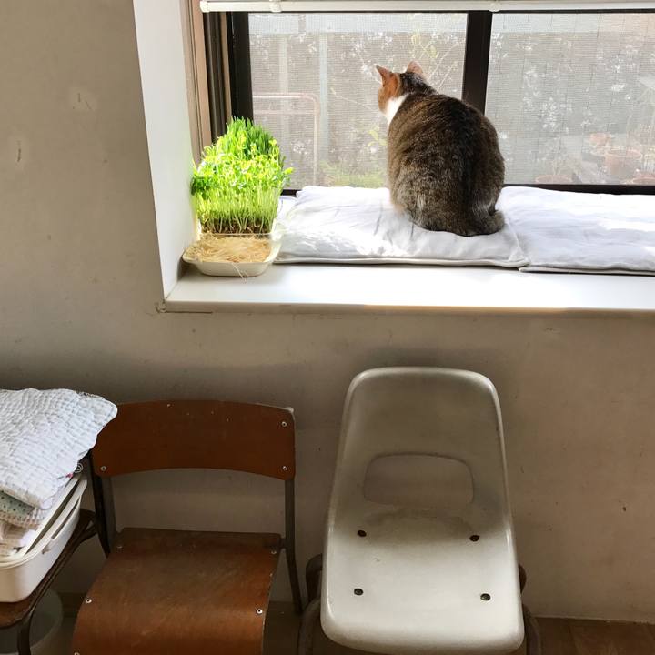 C9599283 5a27 46f3 b859 6567d4c581dc