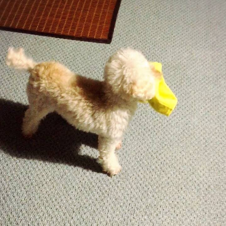 C959cda7 d0dc 477b adb8 d6c7af324287