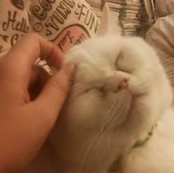 C95ab4fa 690e 43a9 9ad5 151b94c3e12e