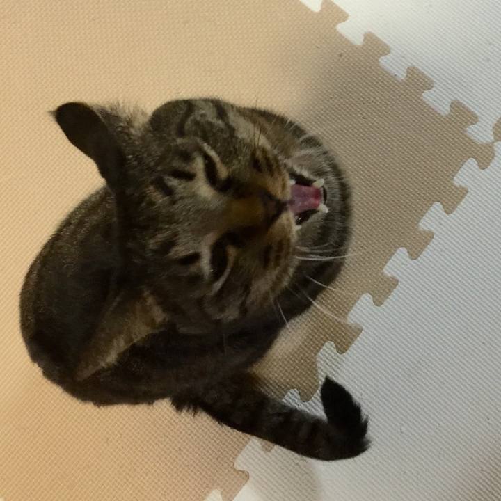 C95abeba 581d 4b58 b0b9 d5e7633d995e