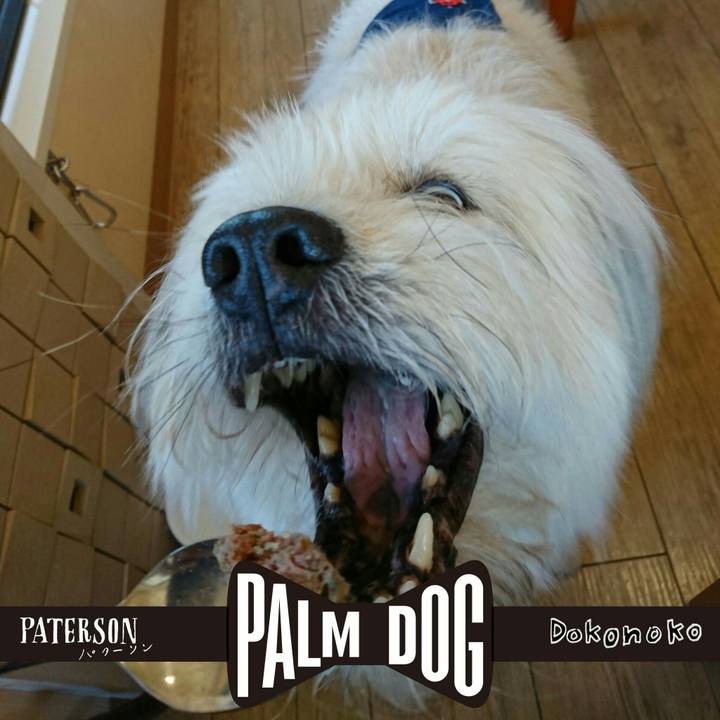 C95bbefe 422b 491b 93a6 c7afec96e705