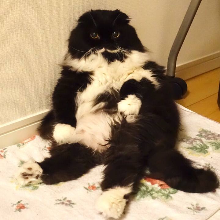 C95bffd5 4f47 4fe5 9f19 d36a2847a17f