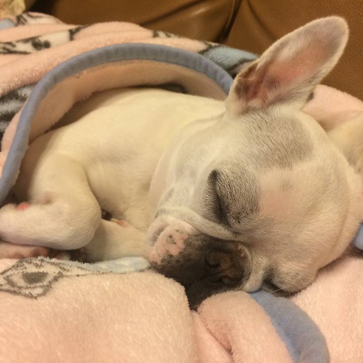 C95c5dd6 db59 42c3 a8b2 1af04847c098