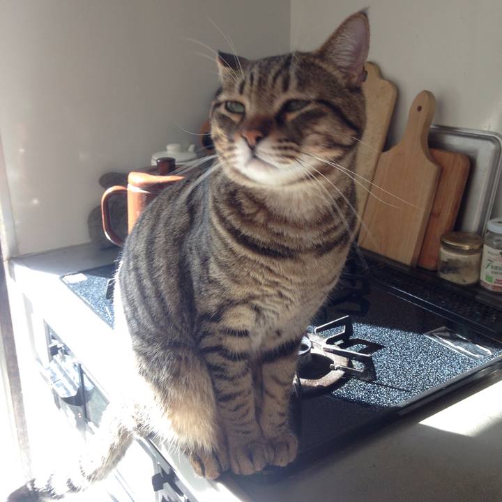 C95c938b 1655 4f9f b582 f9cd3dea28c4