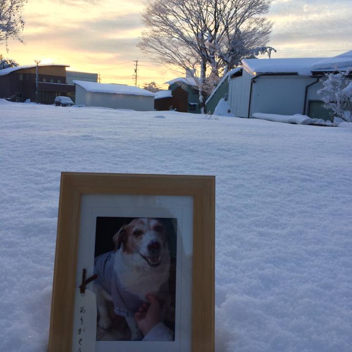 C95cbabb 133d 4c23 95e8 43ec4bc9a051