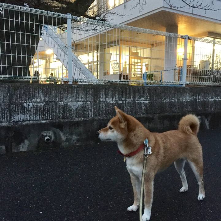 C95d1ef6 da86 4fb8 a480 18594d122bf7