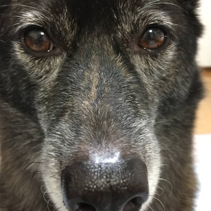 C95d3548 f6a7 4973 b02b 71c51d1960c5