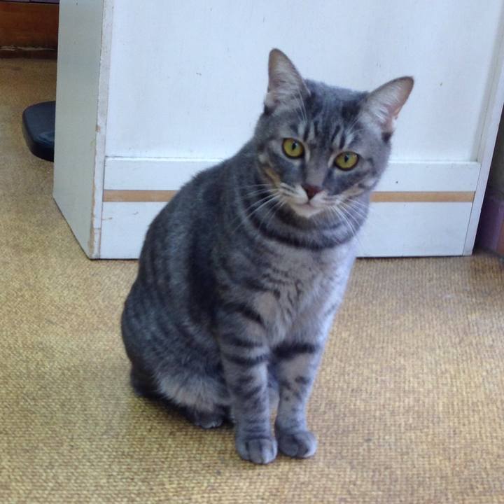 C95f3f52 bafa 4fe5 b8a8 e6df3474406e