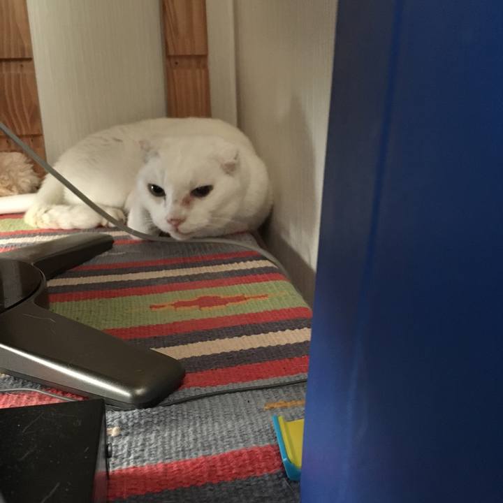 C96095fc 36d8 47f0 b42b 7d13b69a089d