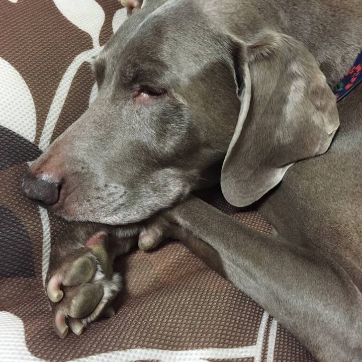 C96141c1 c8b8 4e2e ab0e b6ac4f15edbe