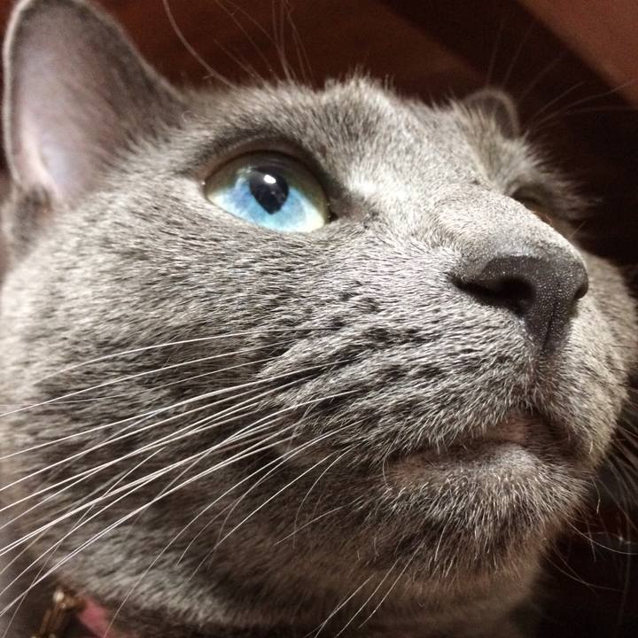 C96255df 9aed 4f5b 9164 421a908d13fd