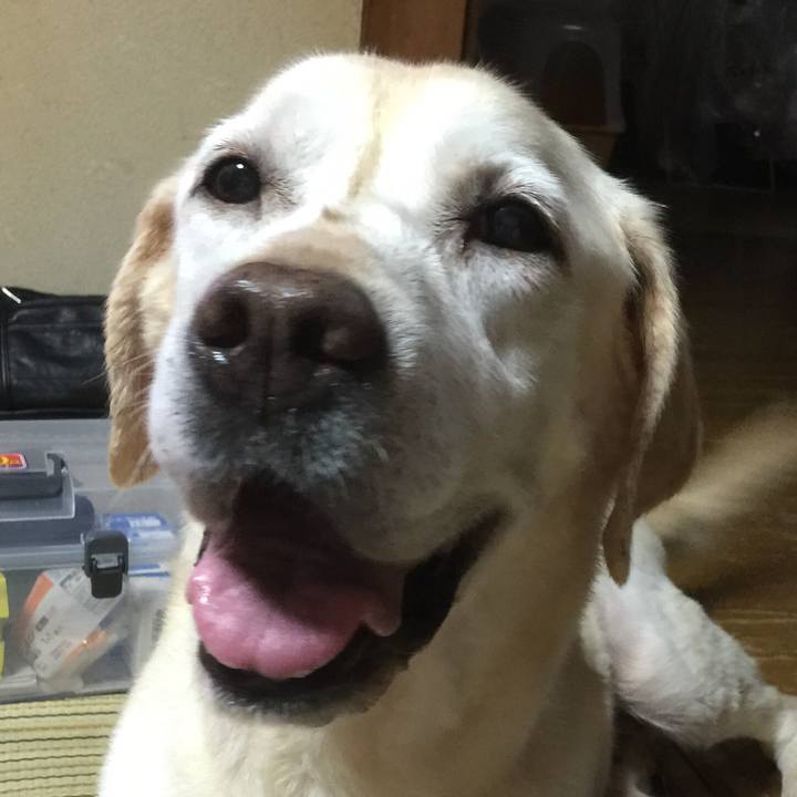 C9625e77 bc86 44eb 8d56 be3cca5da458