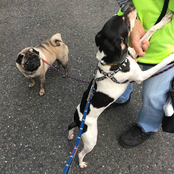 C9628800 3279 4bd2 a6be 28893cf81503