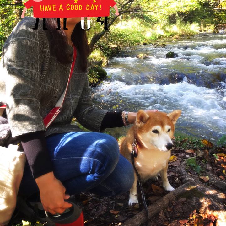 C9628a1d bc71 49b4 8dc0 5d047695e176