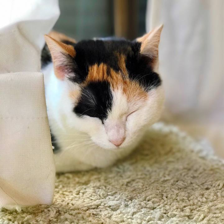 C9634f1e 9c9f 4c6c 9ecc d87c05473099