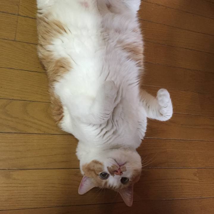 C9640e6e 0657 4935 a481 6a168448aca5