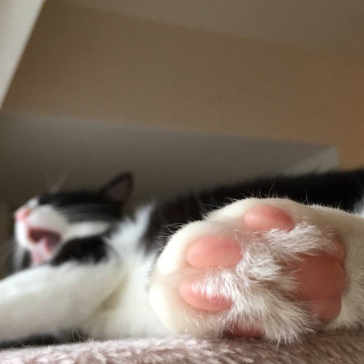 C9647590 21b6 4b65 b9ac 40cb8c7f03bd