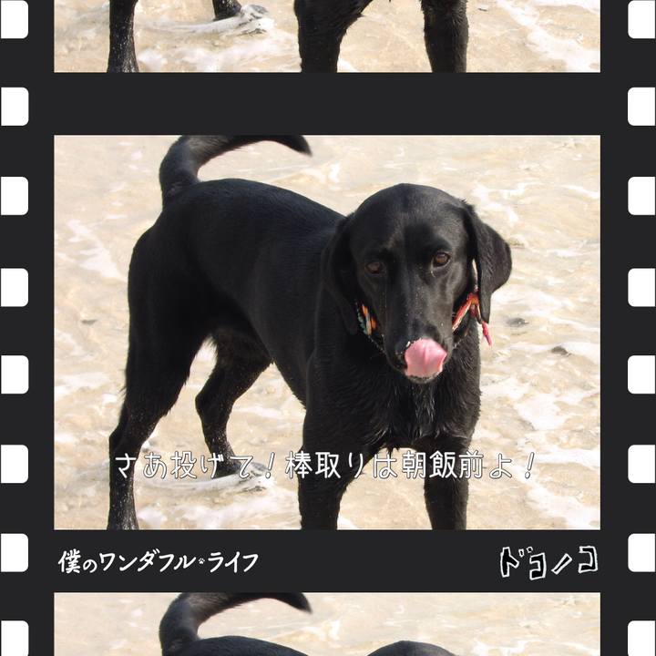 C9649300 b15a 4b28 9c54 2bf732b54070