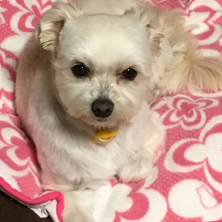 C9649568 3ae9 48a8 870f 0e5bc852e909