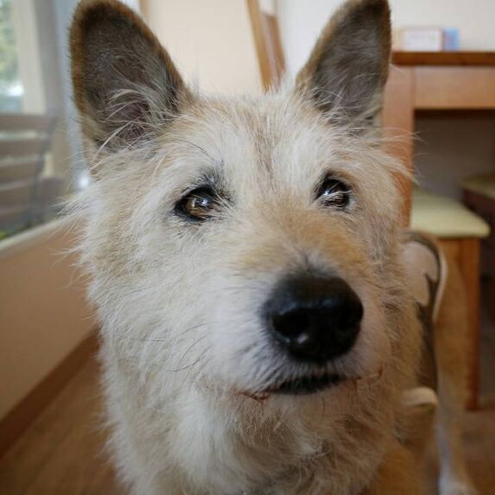 C964c370 e4a6 45a7 b2d5 ffa3c346f97d