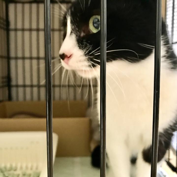 C964f48a 2d51 4d32 bf15 f338db08864d