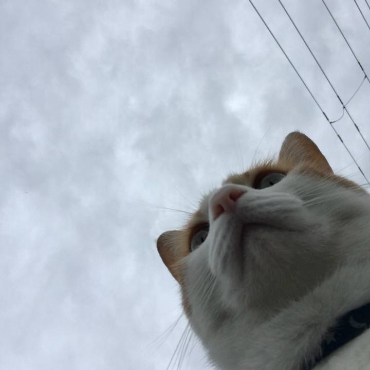 C965a358 1536 41ca b156 45eb69098010