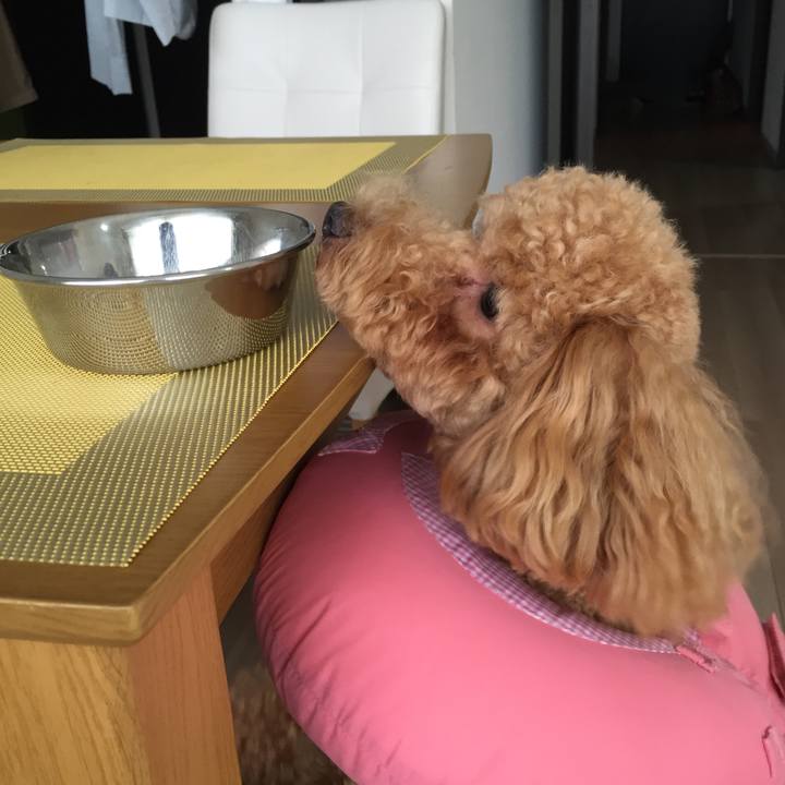 C965f079 1985 4371 9a0c b9f97a51d20c