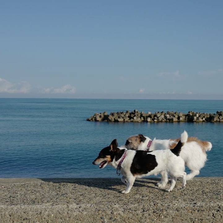 C96607a1 ee99 4b31 9357 b50292bd10cf