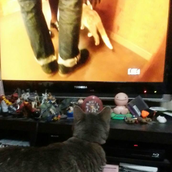 C9674136 e913 4f6f 8bc4 19ff1f04bee5