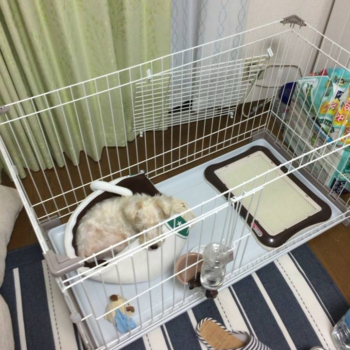 C9676077 8bc8 4a97 bfde 8f42ac03f434