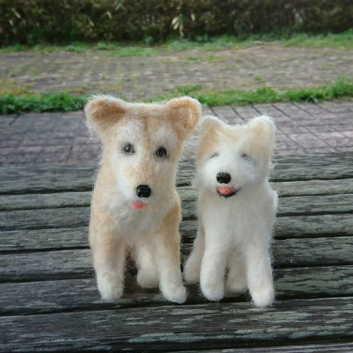 C967febe 5e42 4caa b3b9 eb1076e9f6de