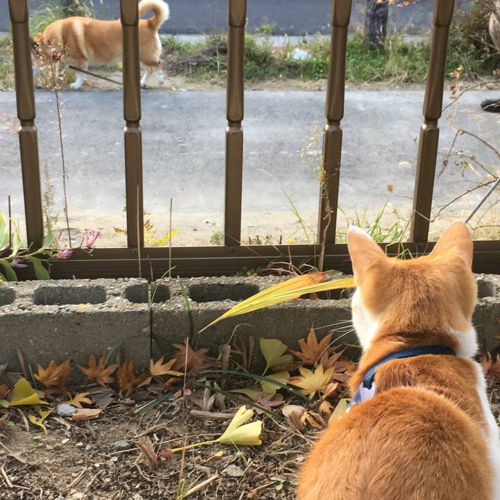 C9684b38 ed75 41f2 a7b3 b69ddfb9016a