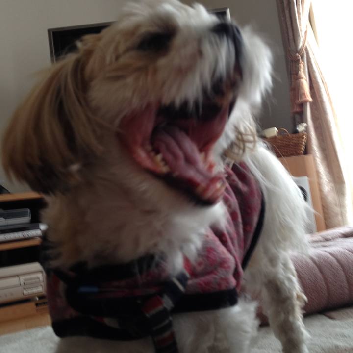 C9695549 fe94 4497 ae43 777798432706