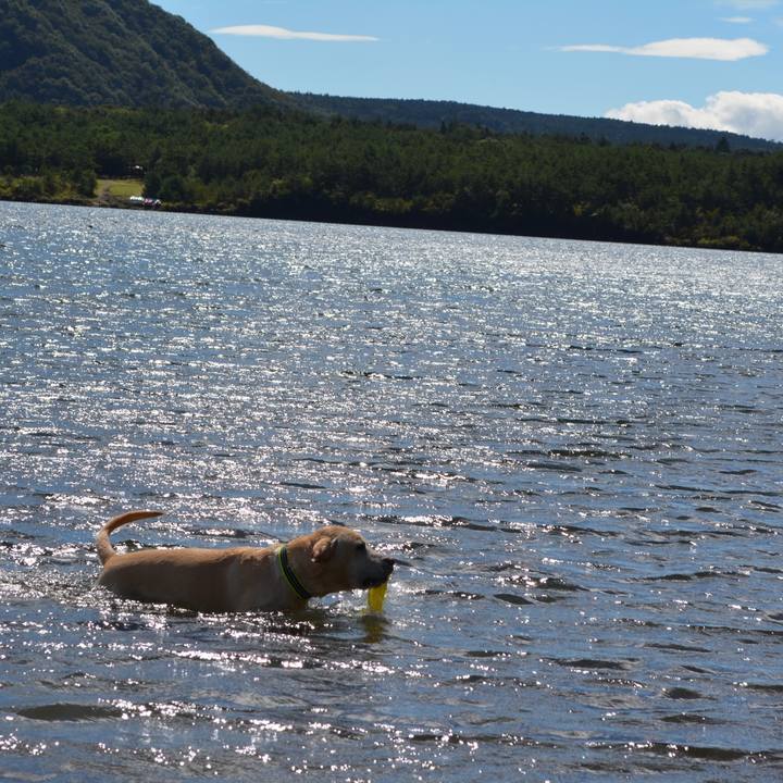 C969c2d0 4727 4d83 9c50 b9cbcb7b5378