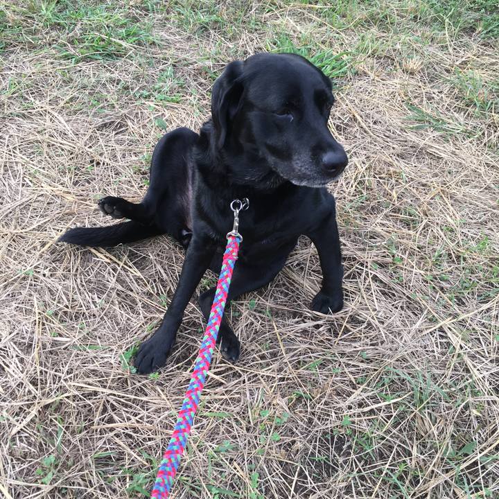 C969e4ef 43cd 4c4d b54d 56bbeb71ea61