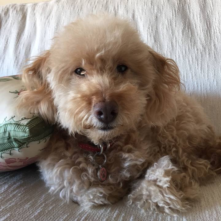 C969f96f 20b6 4f1c 828c 7d6505288b88