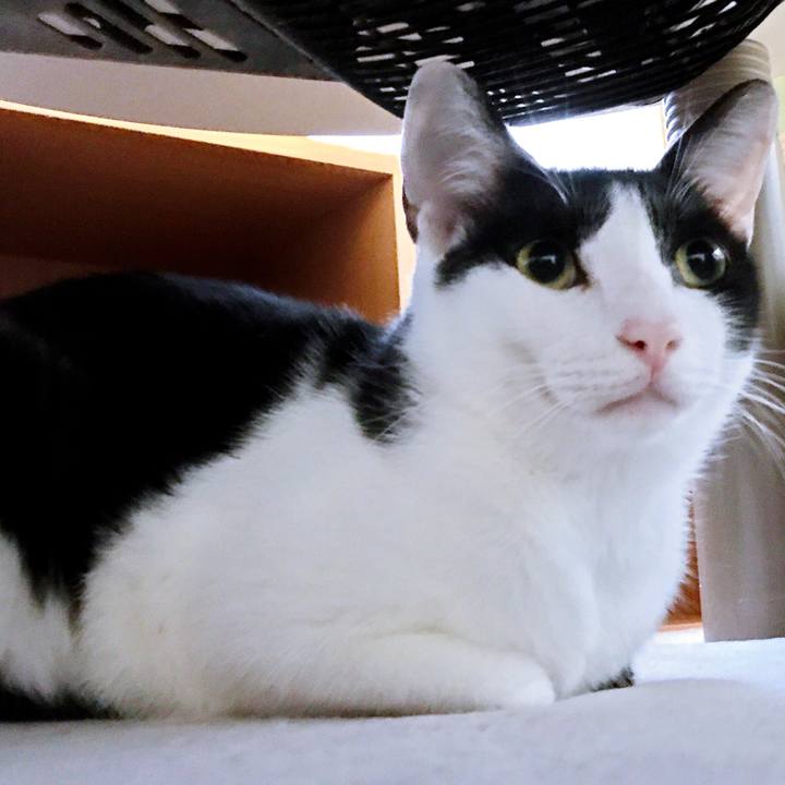 C96a0834 ca80 42ee 975c d6e9d38fc70b