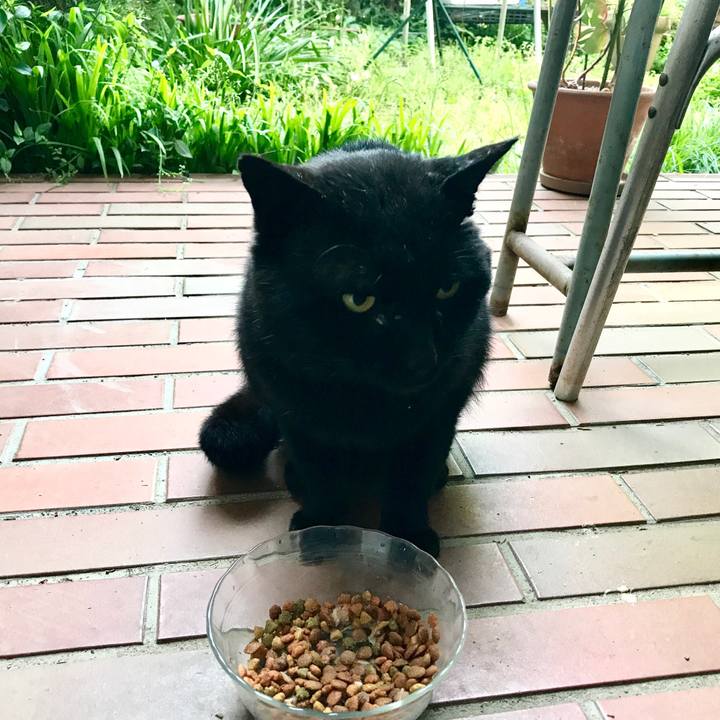 C96a2c3a 1f6c 44b7 8b54 784245a8aa56