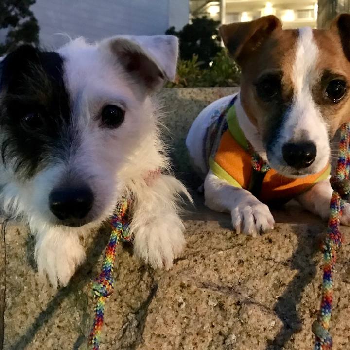 C96b2baf 38ef 4da1 9473 0e0ddb1db43f