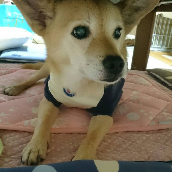 C96b654d c4fd 44d2 96a9 729b3065a15a