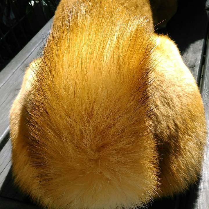 C96bd093 2f3d 415f b6ed 54e6869e205b