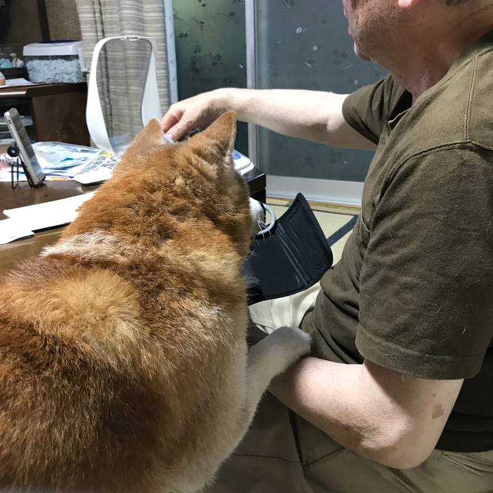 C96c02f9 48e1 4e5c b76d aedb8833ca3d