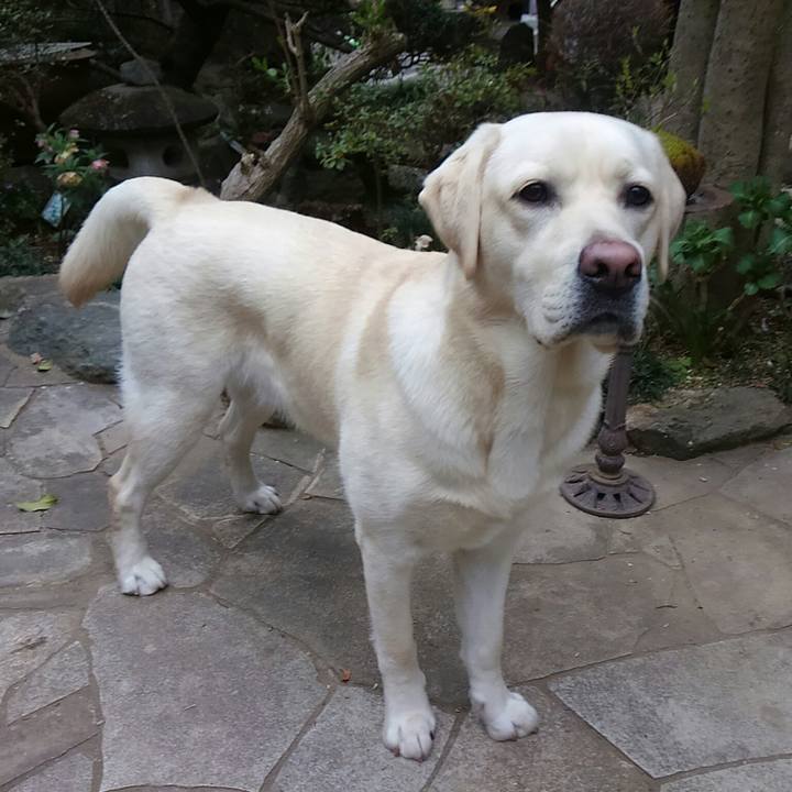 C96c54c1 175e 4d17 84f9 4ab4cf389b9f