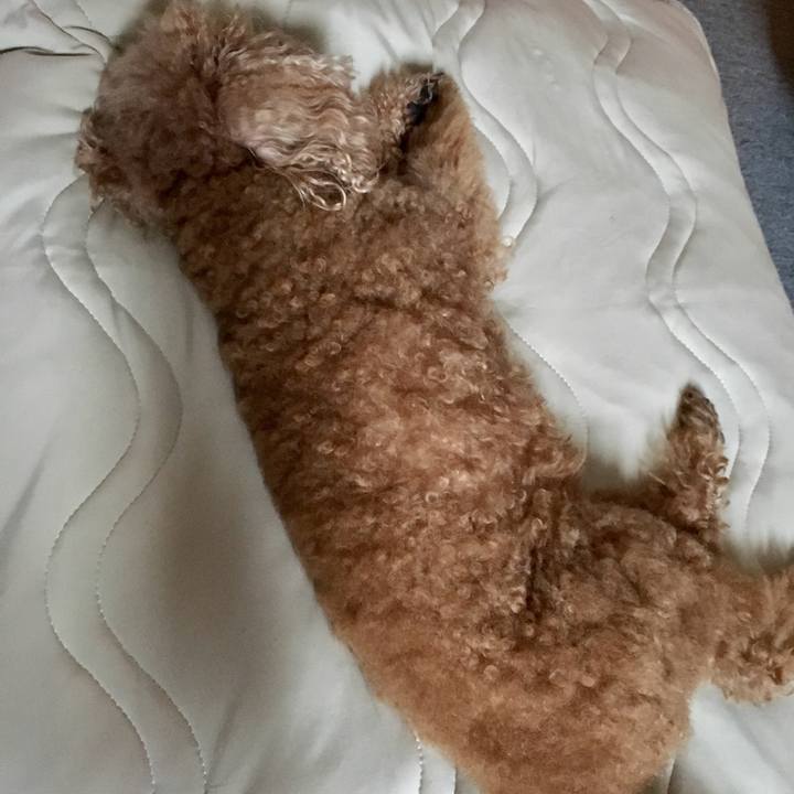 C96cb6cb 3773 4237 8fd6 ae036f15ee3d