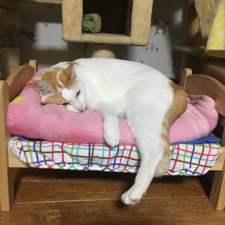 C96cc7b4 34ca 4eb7 b9d3 1cfe985d7226