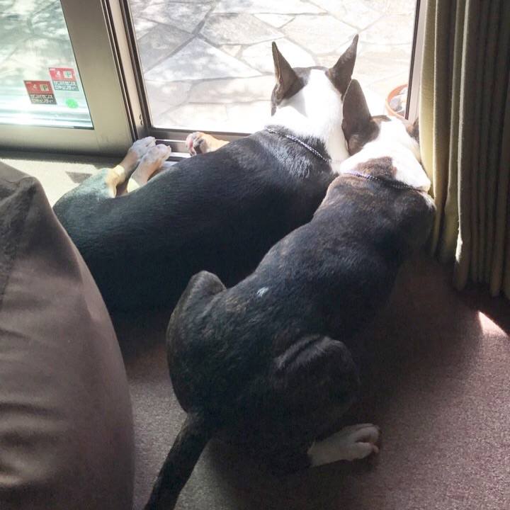 C96ce249 709d 4d33 a5b0 831ce0f9b93a