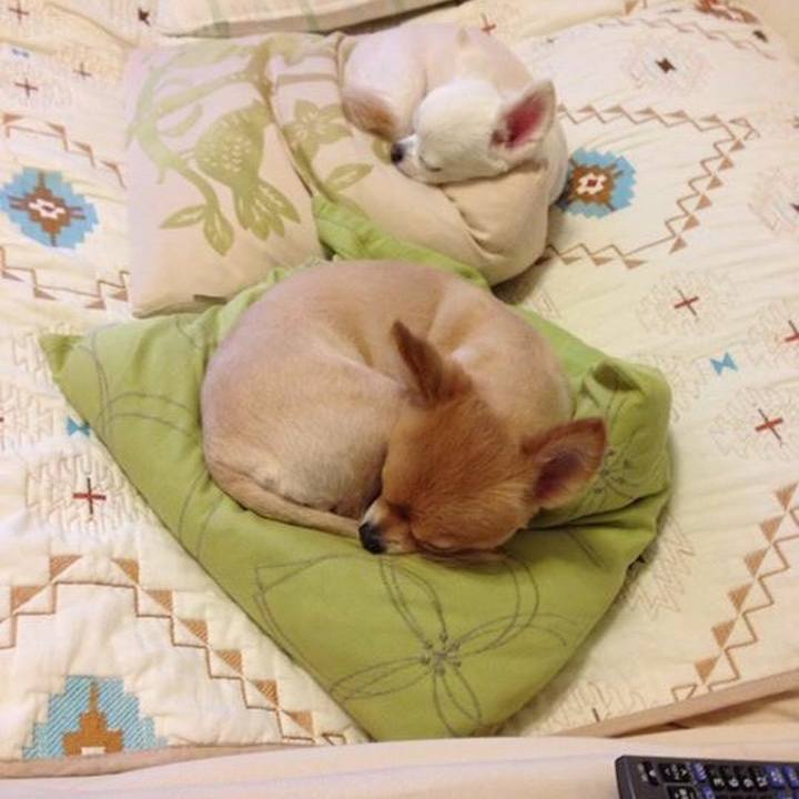 C96d9477 3c53 4a83 ae01 4f9fff104e3d