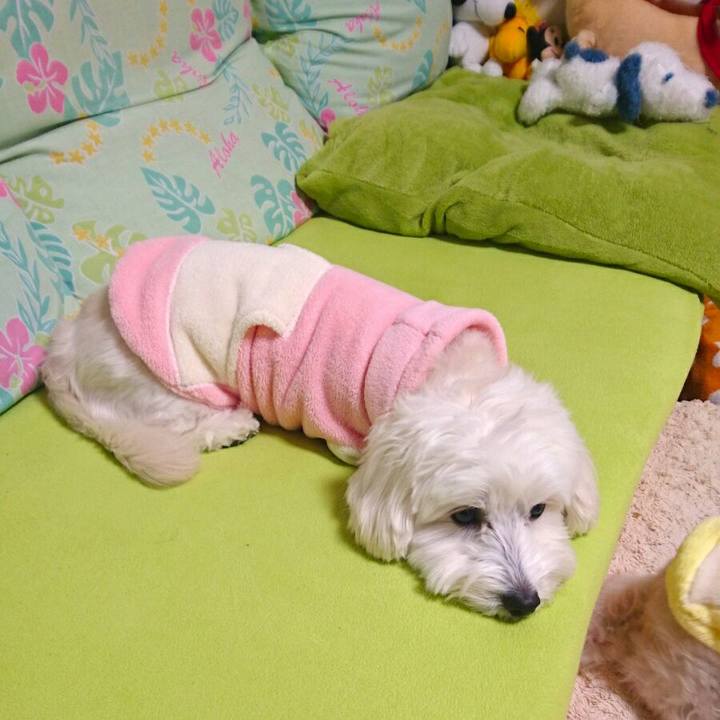 C96d98e0 81b8 4752 9fcf 1a4bffb737c1