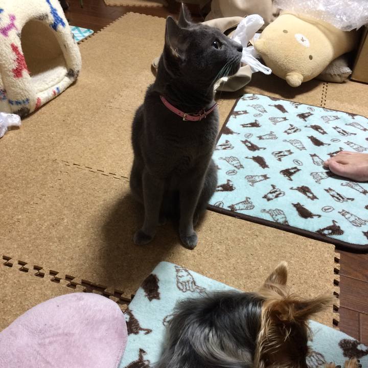 C96d9fe6 0b26 415c 9f9f 856d8ec887f0